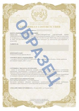 Образец Сертификат СТО 01.064.00220722.2-2020 Елизово Сертификат СТО 01.064.00220722.2-2020 